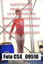 CS4_09510-
