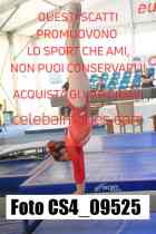 CS4_09525-