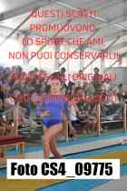 CS4_09775-