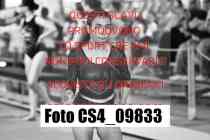 CS4_09833-