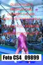 CS4_09899-