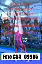 CS4_09905-
