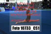 10733_CS1