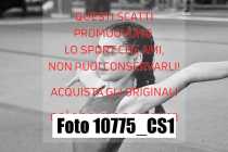 10775_CS1