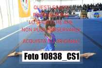 10838_CS1