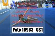 10983_CS1