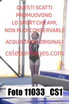 11033_CS1