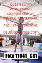 11041_CS1