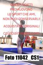 11042_CS1