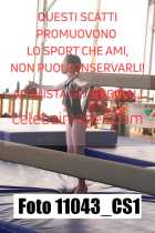 11043_CS1