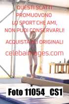 11054_CS1