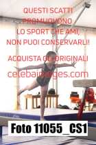 11055_CS1
