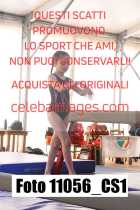 11056_CS1