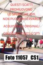 11057_CS1