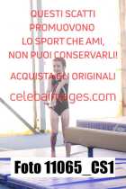 11065_CS1