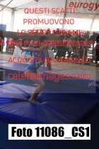 11086_CS1