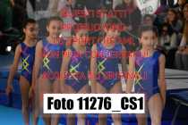 11276_CS1