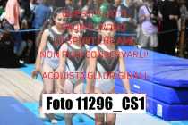 11296_CS1