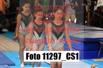 11297_CS1