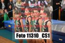 11310_CS1
