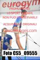 CS5_09555