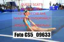 CS5_09633