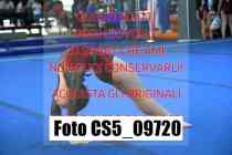 CS5_09720
