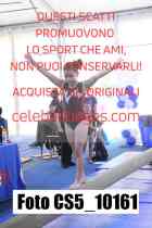 CS5_10161