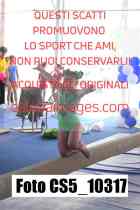 CS5_10317