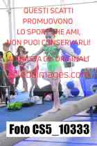 CS5_10333