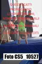 CS5_10527