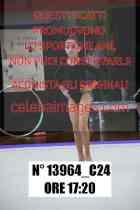13964_C24