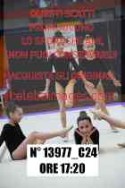 13977_C24