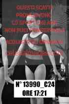 13990_C24