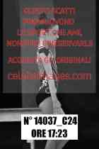 14037_C24