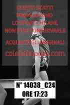 14038_C24