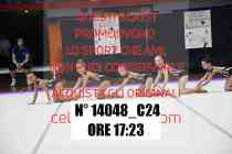 14048_C24