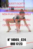 14065_C24