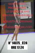 14075_C24