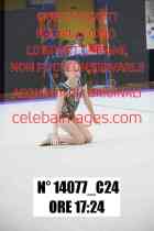14077_C24