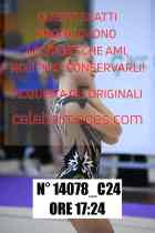 14078_C24