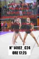 14102_C24