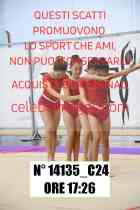 14135_C24