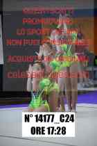 14177_C24