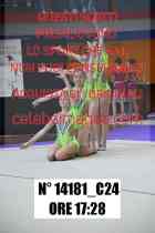 14181_C24