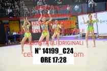 14199_C24