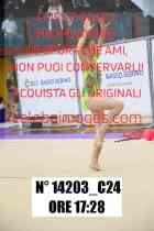14203_C24