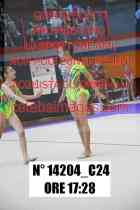 14204_C24