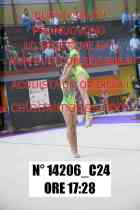 14206_C24