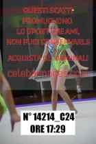 14214_C24